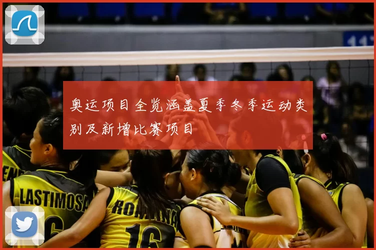 奥运项目全览涵盖夏季冬季运动类别及新增比赛项目