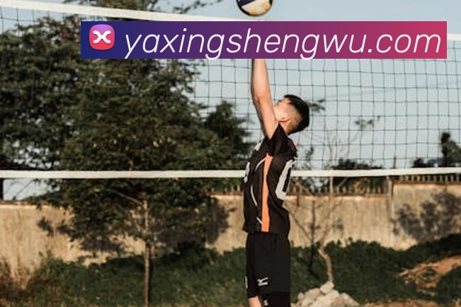 开云网页版·官方版在线登入 - 开云(中国)平台生态图