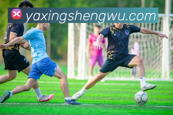 数据防护可视化